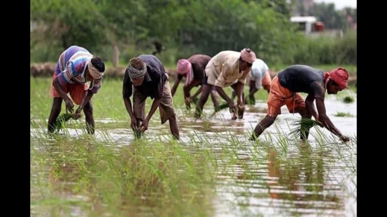 ഭൂജല വിനിയോഗത്തിന് നിയന്ത്രണം; ആശങ്കയിൽ കർഷകർ